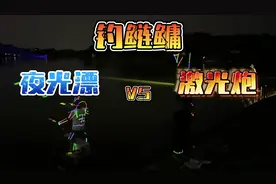 钓鲢鳙 夜光漂VS激光炮 哪个钓得更多？鲢鳙有趋光性？ #钓鱼
