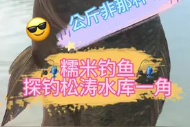 海南省最大水库-松涛水库根本钓不完😂😂#钓鱼日记 #糯米钓鱼 #原来钓鱼才是抖音运动顶流视频封面