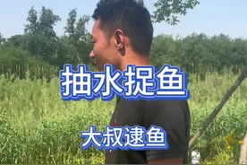 偶遇三位老大爷逮鱼，必须帮忙#逮鱼摸虾 #三农 #农村生活 #户外视频封面