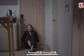 #fayeyoko #泰剧 我尽力了中间缺的我也没办法了....视频封面