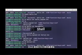 Shell 在我们的日常开发，服务器管理，或者自动化脚本中都常被用到。#程序员 #编程 #学习 #shell #bash