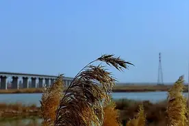 建设中的石嘴山至银川高铁#高铁视频封面