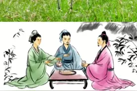 超高速走地鸡白鹡鸰 喜欢摆动尾巴的黑白精灵，常生活在河流水边，俗称“张飞鸟”#白鹡鸰叫声 #白鹡鸰视频封面