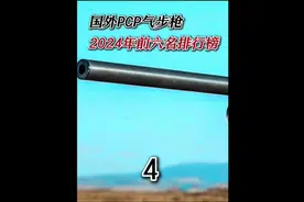 2024年PCP气步枪国外排行榜前六名-第四名 国外合法场地拍摄视频封面