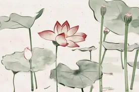 地藏经 译文解说 阎浮众生业感品 第四 #修行 #禅悟人生