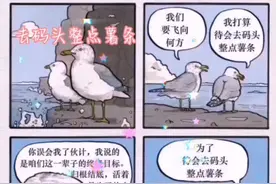 【去码头整点薯条】什么梗？来探探#捕捉身边的美 #用心去感受