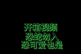 蛇蛇开箱视频，姨姨们快来看啊，恐蛇勿入#蛇蛇教 #玉米蛇 #蛇🐍视频封面