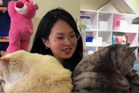 柔弱无力小女生 抱着两只猫走路差点低血糖视频封面