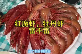 探一下红魔虾，加拿大牡丹虾……雷不雷…#美食探店视频封面