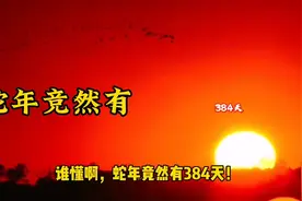 蛇年#难怪某些动物变不成龙#2025年蛇年有384天视频封面
