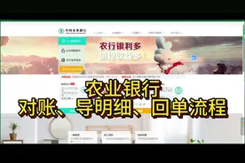 农业银行对账，导回单明细教程来咯~ #农业银行导流水教程视频封面
