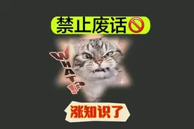 禁止废话：大部分男生床头的纸巾是干嘛的？涨知识了  #知识视频封面