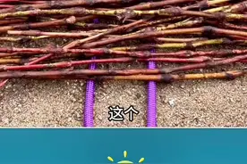 实用绳结 #绳结 #绳结教程 #绳结技巧 #绳结打法 #实用绳结视频封面