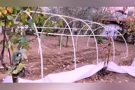 小伙利用简单的pvc管给老丈人搭建农田大棚，这样的操作你怎么看视频封面