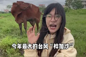 台风桦加沙马上来袭 好慌啊 你们那边什么情况了？ #桦加沙 #台风 #桦加沙台风 #桦加沙台风最新路径