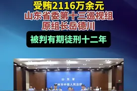 受贿2116万余元，山东省委第十三巡视组原组长岳德川被判十二年#打虎拍蝇视频封面