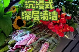 全屋清洁分几步？调大音量220s跟我开启全屋清洁模式吧～#沉浸式 #追觅s10机械臂版 #扫地机器人测评视频封面