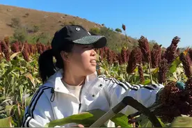 有一种国庆假期叫跨越山海回家赶收秋，不管你在外面生活的风生水起还是一败涂地，假期回到最美的故乡，看看久违的风景，一家人团聚的时刻，再累也是甜的，在欢笑中收获一年的劳作，收获金黄的喜悦！#三农 #秋收