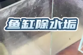 人生中第二次碰到除不掉的水垢，你们有啥好办法吗，第一个也等着呢。。。视频封面
