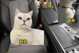 给老爸老妈露一手#meme#歌曲#搞笑视频封面