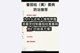 #番茄种植 #农业技术推广 #病虫害防治 #枯萎病 番茄枯萎病是高等真菌，为啥很多人用的低等真菌的药？视频封面