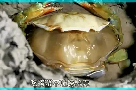刚蜕壳的软壳蟹你们有吃过吗？反正我没吃过 青蟹  螃蟹  软壳蟹