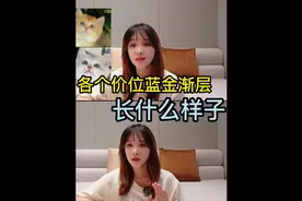 #新手养猫 #金渐层 各个价位的蓝金渐层长什么样 蓝金多少钱