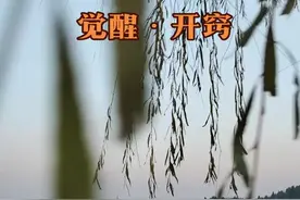 觉醒，你在哪个阶段？#认知觉醒 #提升自己 #唤醒真我 #知行合一  #认知思维 @DOU+小助手视频封面