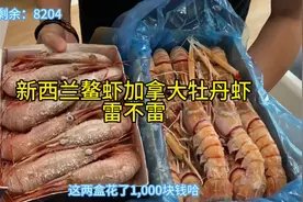 探店自己买的新西兰鳌虾，加拿大牡丹虾……雷不雷…视频封面
