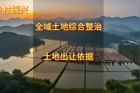 全域土地综合整治，重庆全农村三产融合发展视频封面