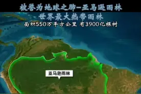 亚马逊雨林深处有多恐怖，至今无人知晓#探索发现 #地球 #探索地球 #宇宙奥秘视频封面