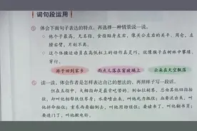 五年级语文(下期)第八单元 语文园地~词句段运用②视频封面