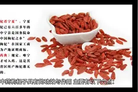 枸杞子的功效与作用视频封面