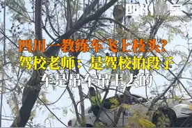 见过挂科的，见过教练车挂树吗？4月10日，四川宜宾，驾校老师回应：系拍段子，车是被吊车吊上去的。视频封面