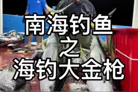 去深海钓鱼其实是很容易上手的一件事，只需要多注意观察别人怎么把鱼给钓上来的然后模仿别人你大概率就能中鱼了。视频封面