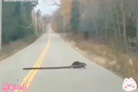 天下之大无奇不有，网友说：科学的尽头就是玄学，真人真事！视频封面