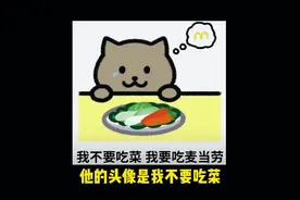 《我不要吃菜 我要吃麦当劳》#21岁重庆男子跳江 #胖猫 #谭竹视频封面