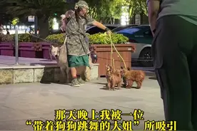 那晚上我在街上遇到了一位带着狗狗跳舞的大姐 #人间温暖 #乡村生活 #狗狗 #流浪狗 #善待动物 她的故事足够精彩，只是一篇根本讲不完，期待后续吧