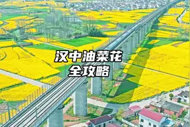 汉中油菜花全攻略，有几处只有本地人才知道的小众观花点视频封面