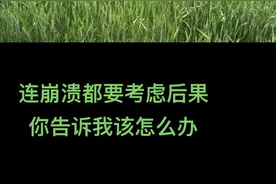 我没有那么坚强，很多事情只是在硬撑了，你告诉我，我到底该怎么办呢？我也有心情不好想 发脾气的时候，我也想累的时候有个人关心、伤心的时候有人安慰，在无助的时候才发现生活空无一人，原来自己什么都没有，到底是自己太懂事还是什么，越来越感觉吃不消了，也许是一个人太累了，一瞬间感觉心好酸了，#龙虾🦞 #单亲妈妈创业#彤彤水产