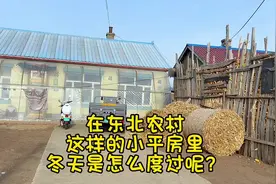 在东北农村这样的小平房里冬天是怎么度过的呢……#记录真实生活视频封面