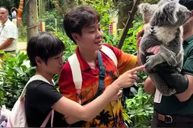 考拉：小红啊，我是温柔的宝宝，不是蛇，不用怕！#神奇动物在抖音 #长隆野生动物世界 #考拉视频封面
