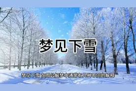 梦见下雪#你的梦境在暗示什么 #梦境解析 #周公解梦 #下雪了视频封面