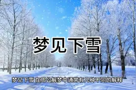 梦见下雪#你的梦境在暗示什么 #梦境解析 #周公解梦 #下雪了视频封面