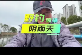 惊蛰钓阴雨，怎么选深浅#钓鱼视频封面