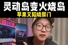 #iPhone 14ProMax灵动岛烧屏？真的假的？#数码科技 #手机 #iphone14promax