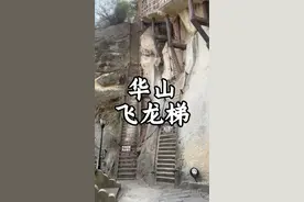 华山永久封闭之飞龙梯 智取华山路上的飞龙梯，因为太险，已经永久封闭了。旁边新修了道路。#华山视频封面