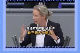 这说的是德国吗？怎么跟我村的情况一样呢！禁止焚烧秸秆视频封面