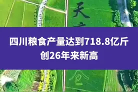 四川粮食产量达到718.8亿斤，创26年来新高#四川 #2024四川两会 #权威解读视频封面