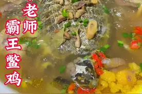 #真材实料才能做出好味道 霸王鳖鸡一道菜，汤鲜美味。#甲鱼炖鸡 #寇少华视频封面